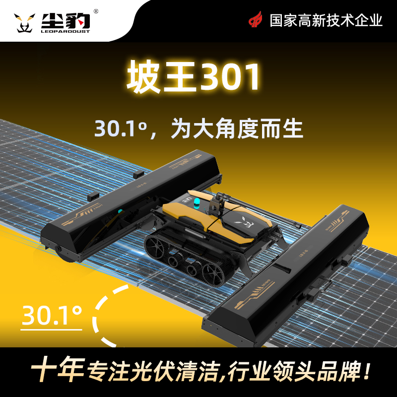 LD-X6 Pro-R
